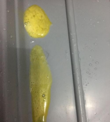 狗狗吐黄色液体是怎么回事