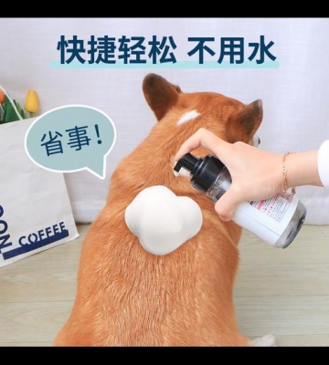 怎么给狗狗灌粉末药