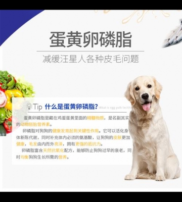 小狗为什么要吃卵磷脂