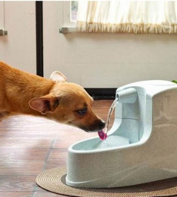 狗狗喝什么牌子的水