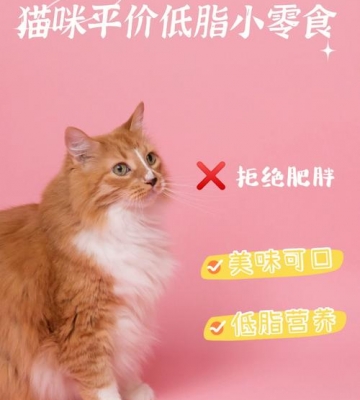 猫咪吃的高脂肪有什么