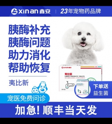 幼犬胰腺炎吃什么药