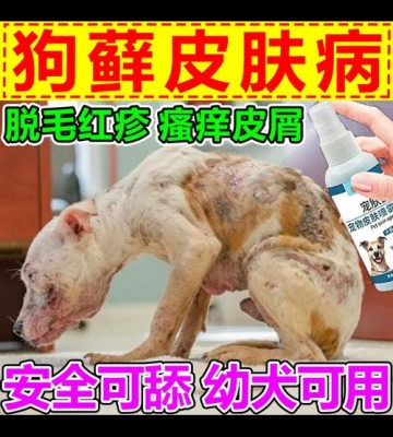 狗狗皮肤干燥用什么擦