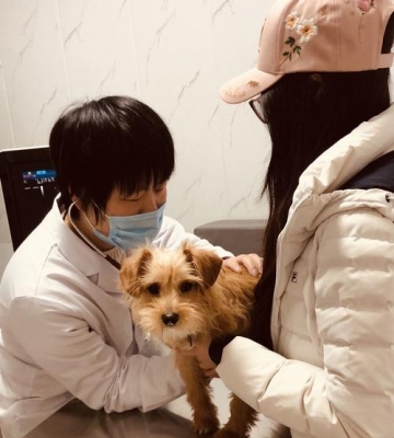 德州派特宠物医院怎么样