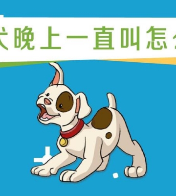 小狗夜里总是叫怎么办