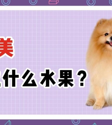 五个月小狗可以吃什么水果