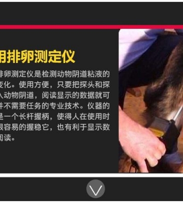 怎么样给狗狗测排卵