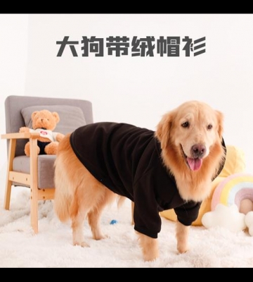 狗狗穿什么衣服比较好