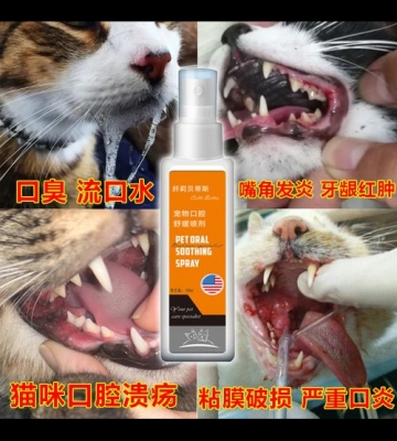 猫咪伤后红肿用什么药