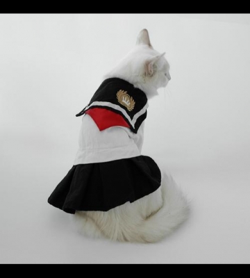 怎么样制服宠物