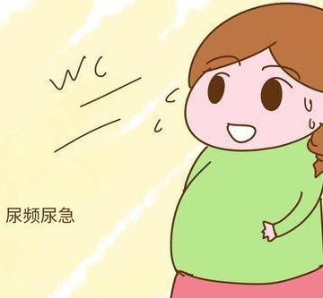 怎样预防尿频