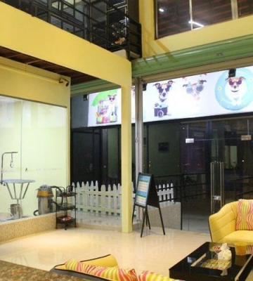 广州有什么宠物店