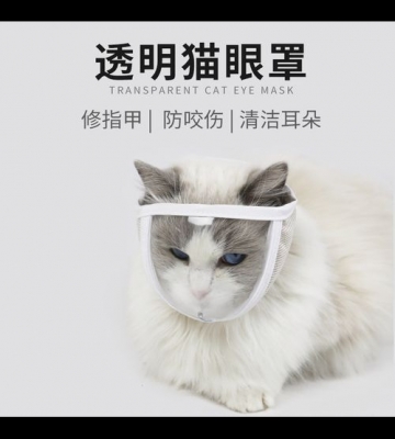 戴什么东西能防止猫咪咬人