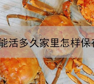 如何避免家里的蟹