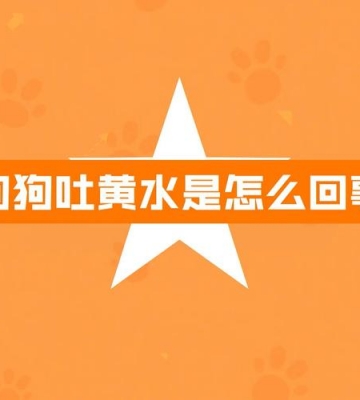 狗狗为什么经常呕吐黄水