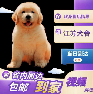 宠物cku会员有什么用