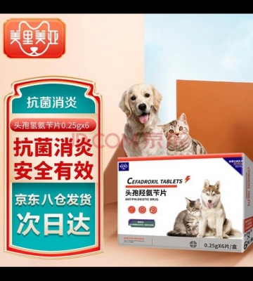 狗狗吃什么药消炎药