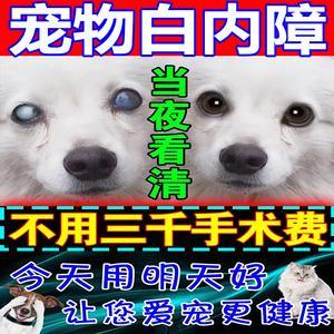 狗狗得白内障用什么药