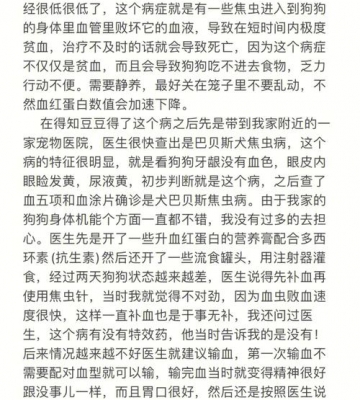 狗狗为什么会得血虫病