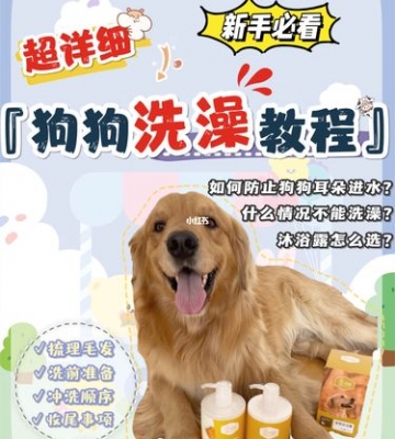 宠物如何正确洗澡
