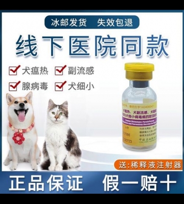 小狗病毒感染用什么药