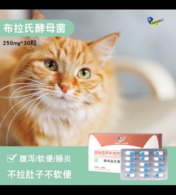 猫咪拉肚子以后吃什么药