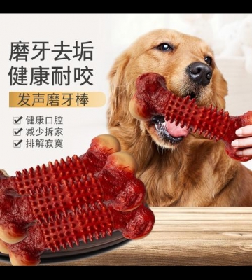狗狗磨牙怎么治疗