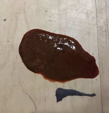 小狗粑粑有血怎么办