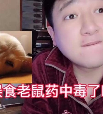狗狗吃了耗子药怎么办