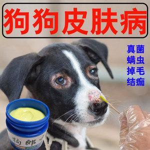 狗狗烫伤之后用什么药膏