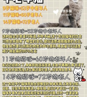 怎么样看猫咪年龄