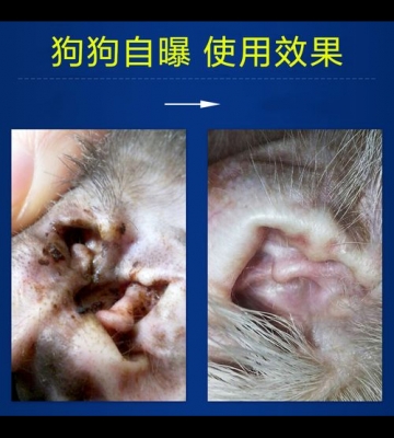猫咪耳炎用什么药