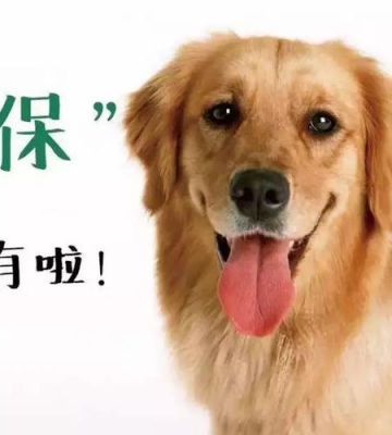 平安宠物保险怎么入