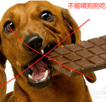 狗狗吃什么发育素好