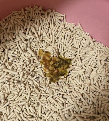 猫咪拉稀拉水怎么办
