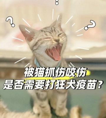 被猫咬打什么疫苗