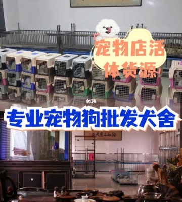 宠物店卖活体注意什么