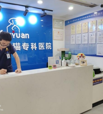 宝贝宠物医院怎么样