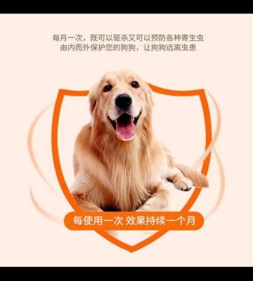 给小狗打虫用什么药