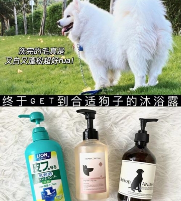 狗狗用什么牌子沐浴露