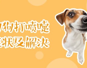 两个月大狗狗打喷嚏应该喝什么