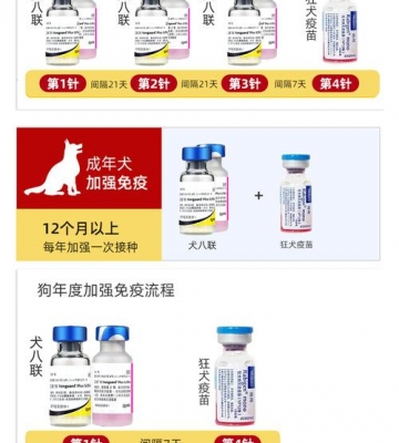 小狗狂犬疫苗作用是什么
