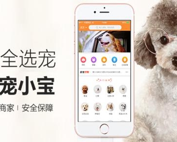 有没有什么平台可以买宠物