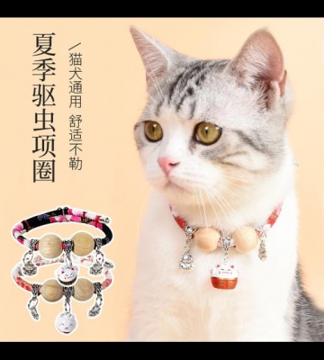 猫咪戴什么可以防止跳蚤