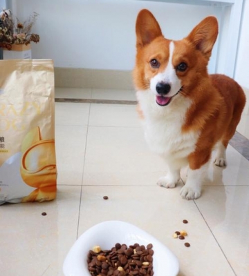 什么幼犬狗粮比较好