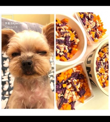 幼犬狗狗吃什么有营养餐
