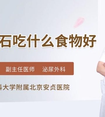 狗狗结石应吃什么食物