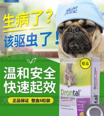 怎么喂狗狗打虫药