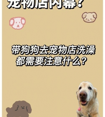宠物店洗澡为什么关门