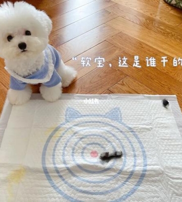 狗狗尿过的床单怎么办